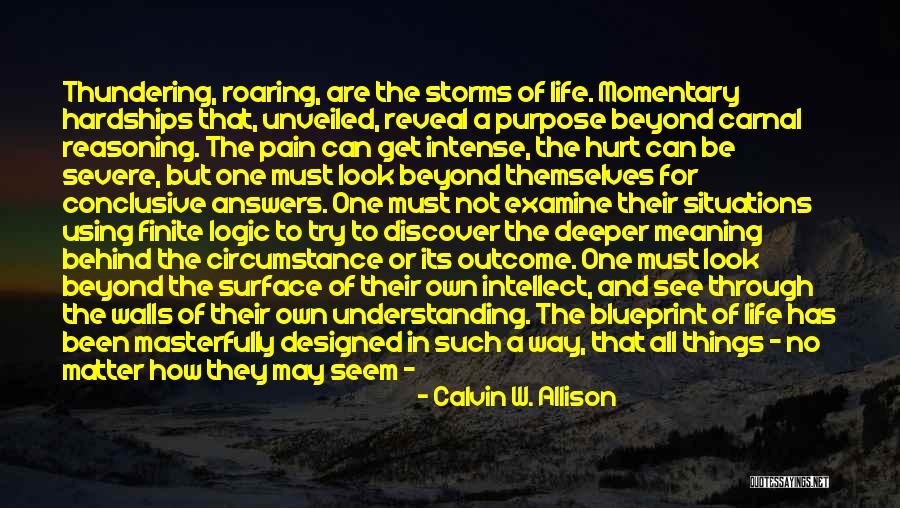 Deeper Meaning Love Quotes By Calvin W. Allison