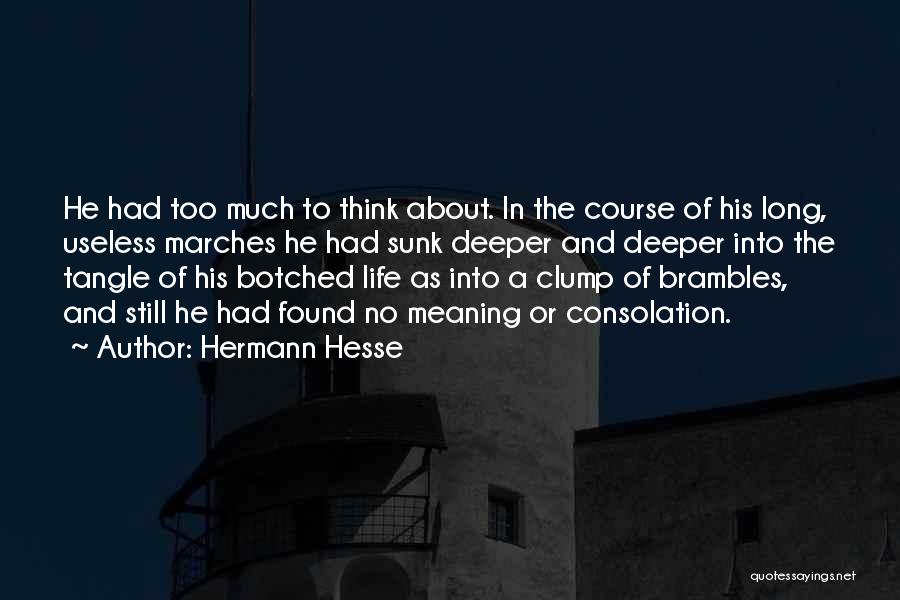 Deeper Meaning Of Life Quotes By Hermann Hesse