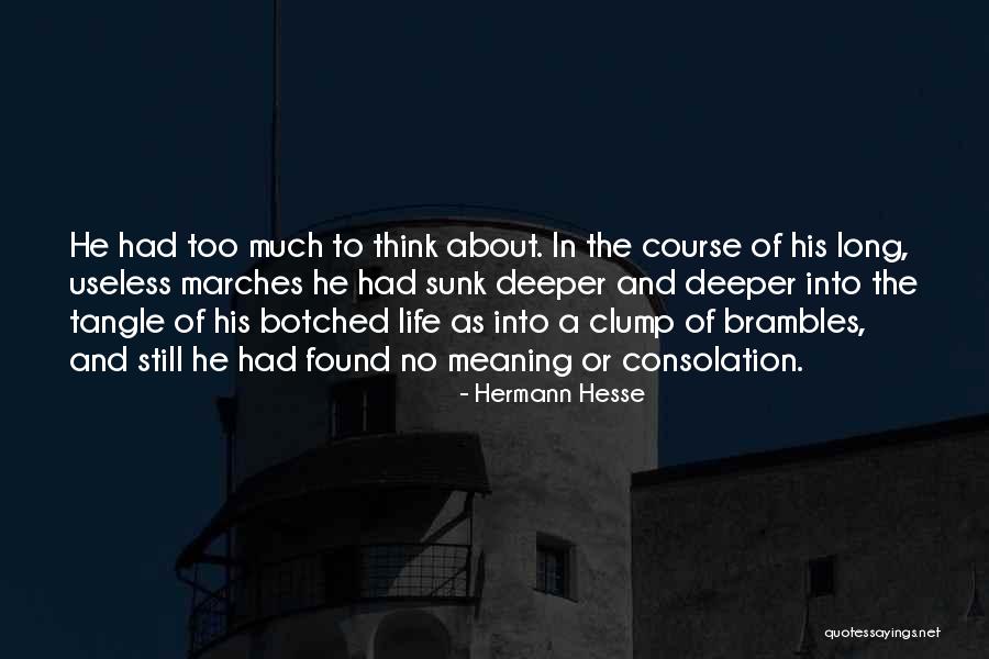 Deeper Meaning Of Life Quotes By Hermann Hesse