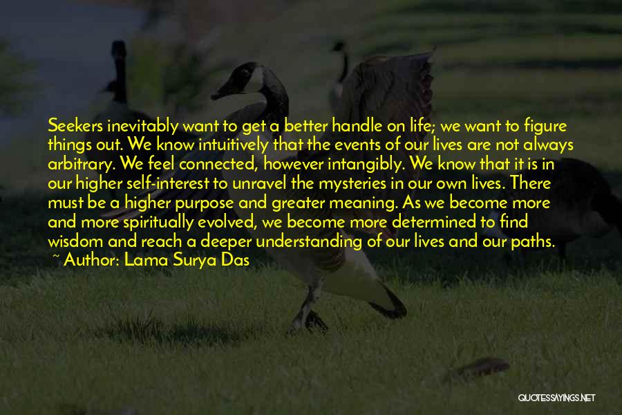 Deeper Meaning Of Life Quotes By Lama Surya Das