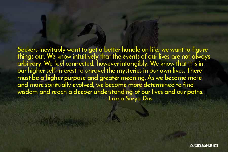 Deeper Meaning Of Life Quotes By Lama Surya Das