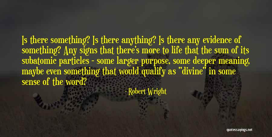 Deeper Meaning Of Life Quotes By Robert Wright