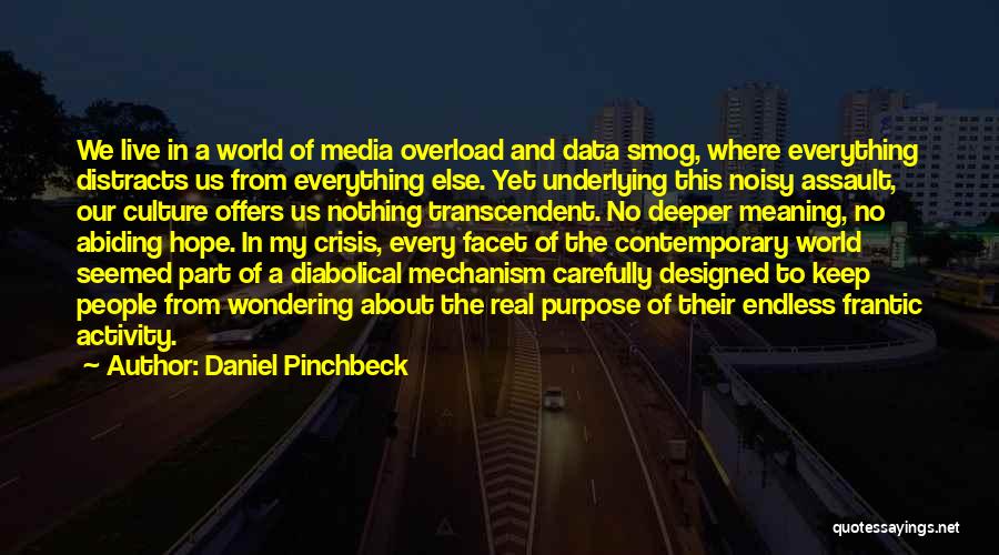 Deeper Meaning Quotes By Daniel Pinchbeck