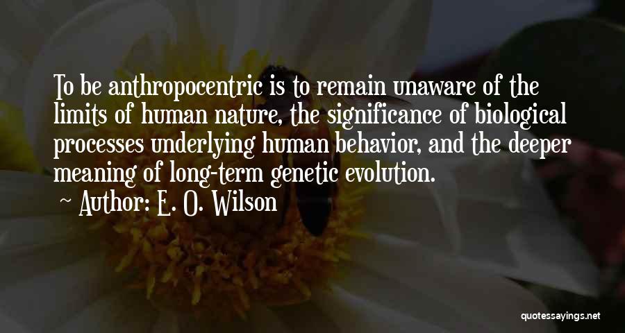 Deeper Meaning Quotes By E. O. Wilson