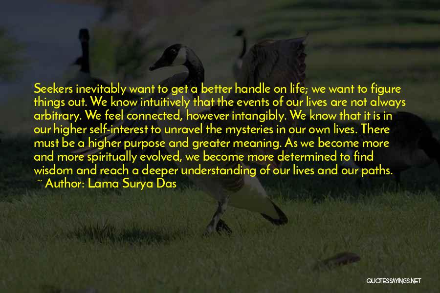 Deeper Meaning Quotes By Lama Surya Das