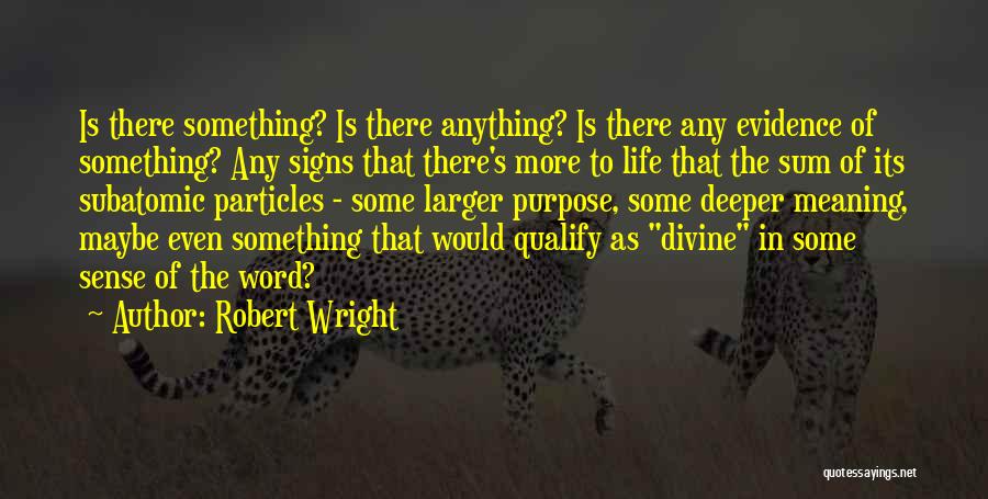 Deeper Meaning Quotes By Robert Wright