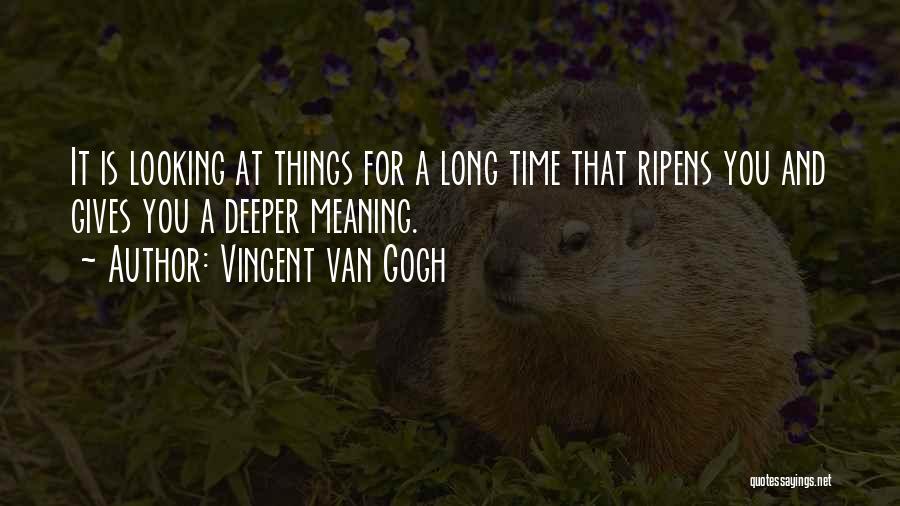 Deeper Meaning Quotes By Vincent Van Gogh