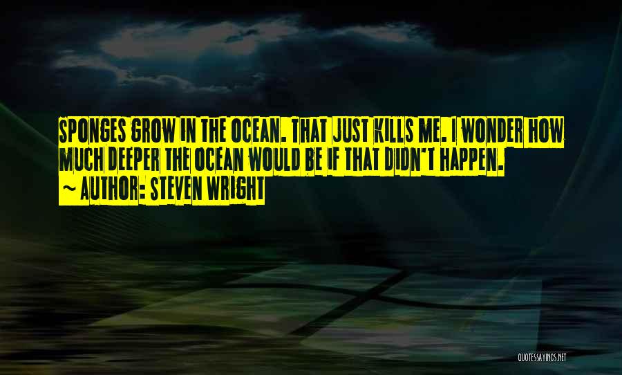 Deeper Than The Ocean Quotes By Steven Wright