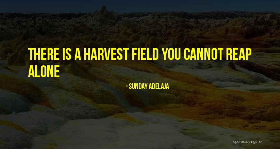 Deepinsnow Quotes By Sunday Adelaja
