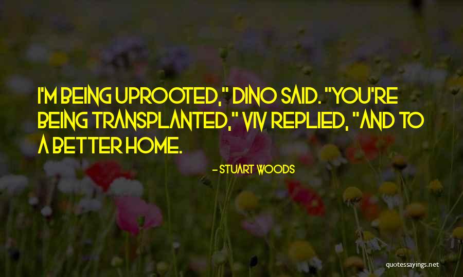 Deepwood Vet Quotes By Stuart Woods Deepwood Vet Quotes By Stuart Woods