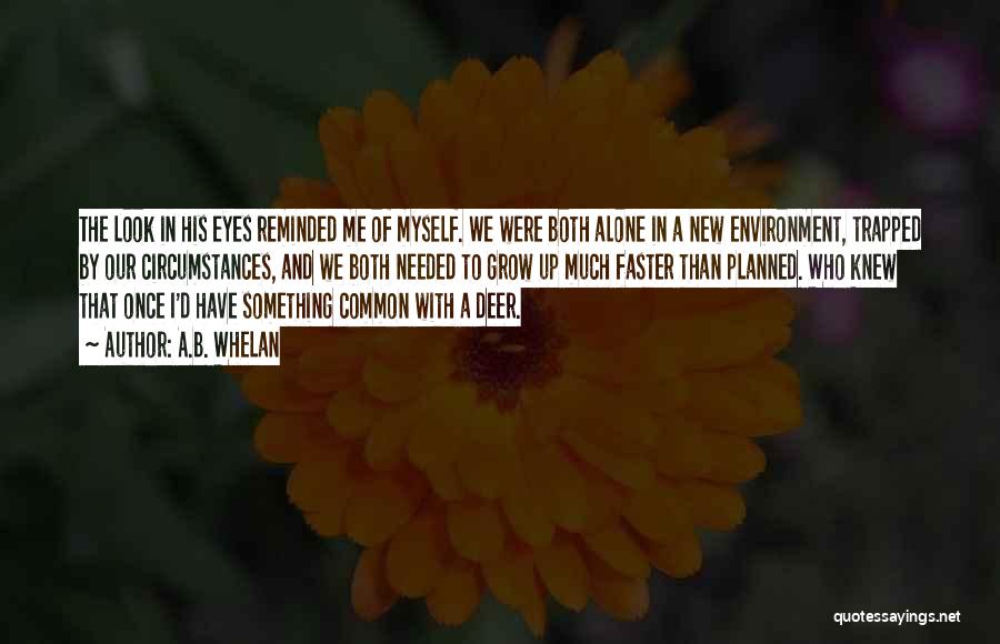 Deer Eyes Quotes By A.B. Whelan