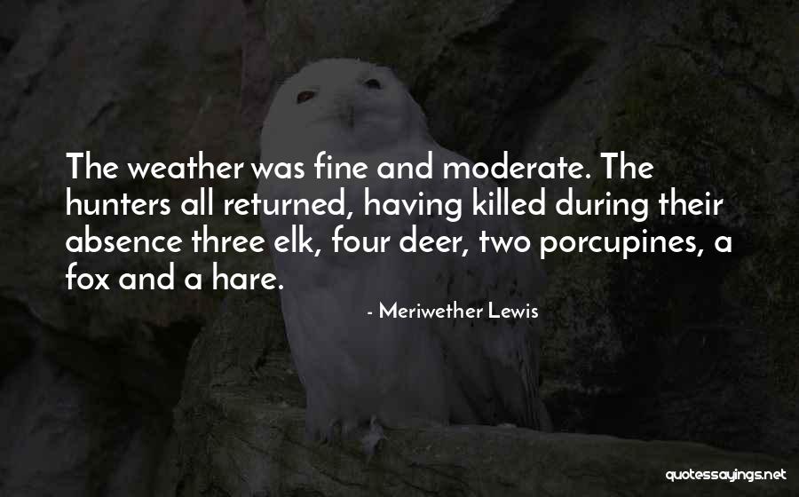 Deer Hunters Quotes By Meriwether Lewis