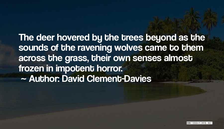 Deer Quotes By David Clement-Davies