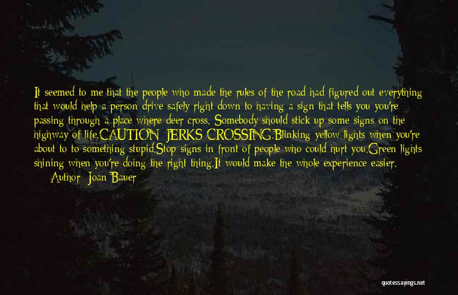 Deer Quotes By Joan Bauer