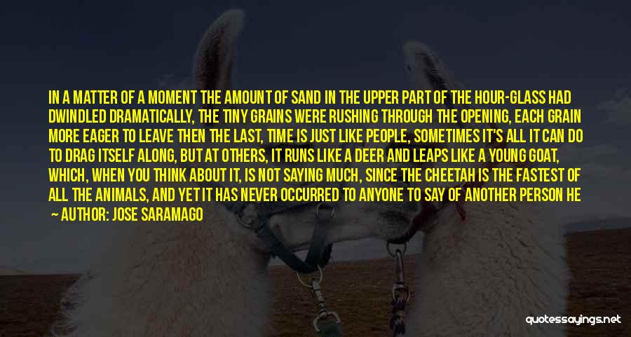 Deer Quotes By Jose Saramago