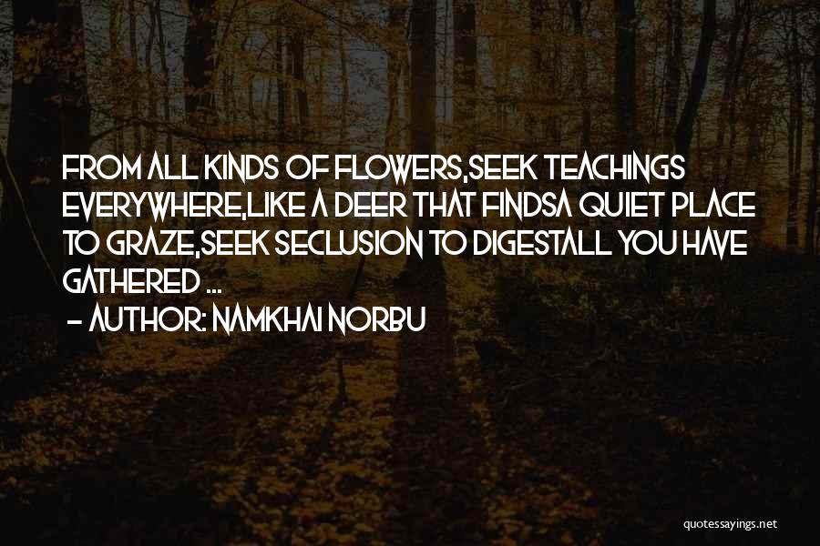 Deer Quotes By Namkhai Norbu