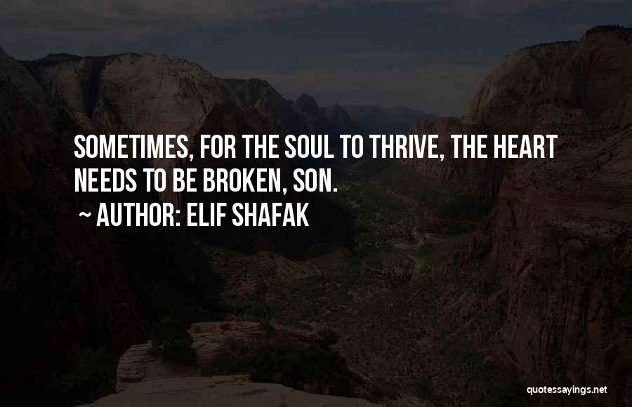 Deever Cpa Quotes By Elif Shafak