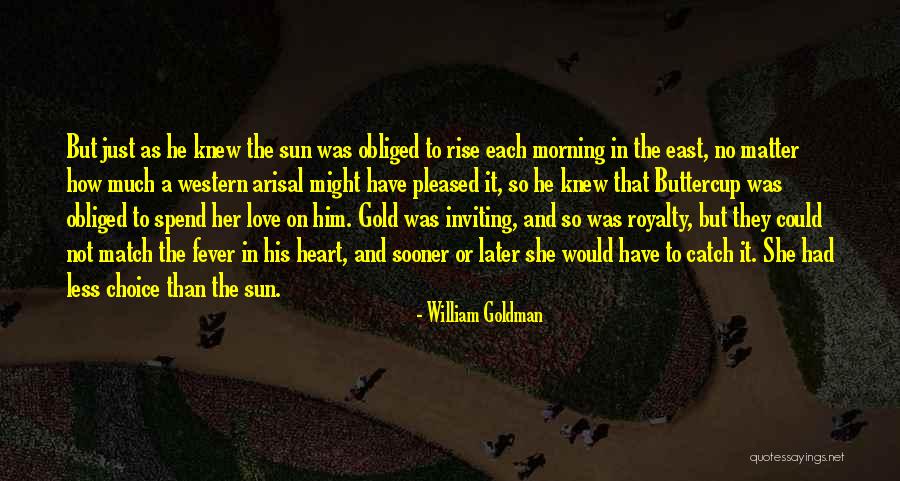 Defasagem De Aprendizagem Quotes By William Goldman Defasagem De Aprendizagem Quotes By William Goldman