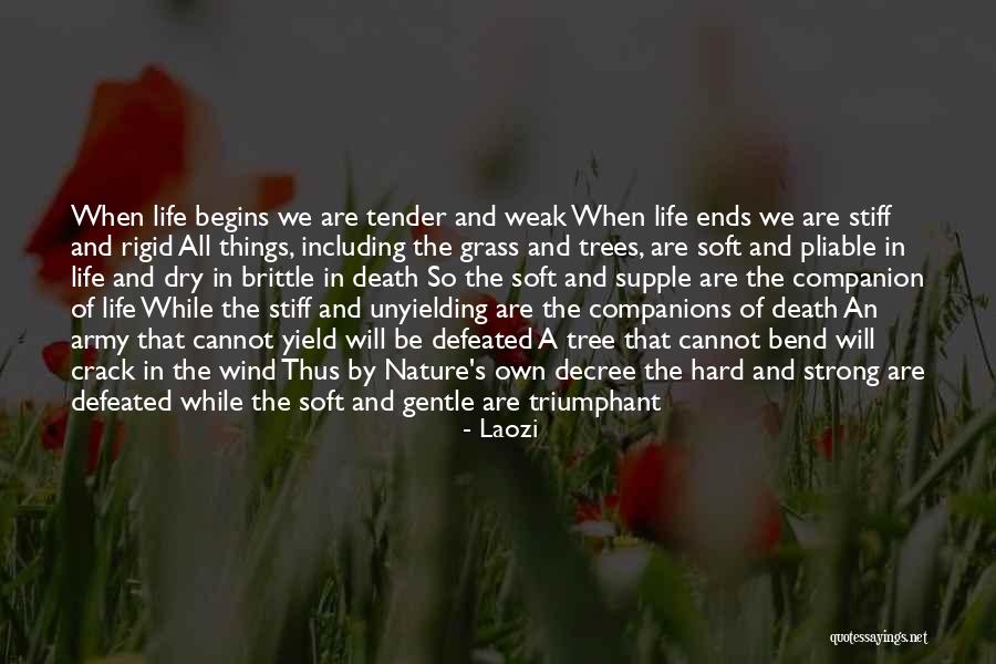 Defeated Army Quotes By Laozi Defeated Army Quotes By Laozi