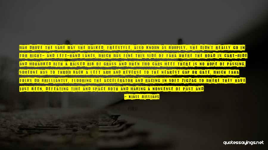 Defeating Someone Quotes By Niall Williams Defeating Someone Quotes By Niall Williams