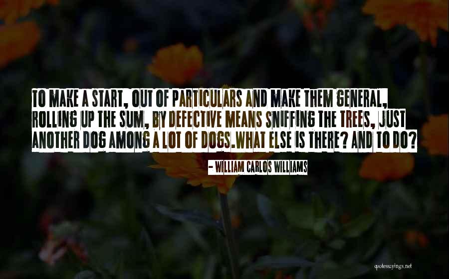Defective Quotes By William Carlos Williams Defective Quotes By William Carlos Williams