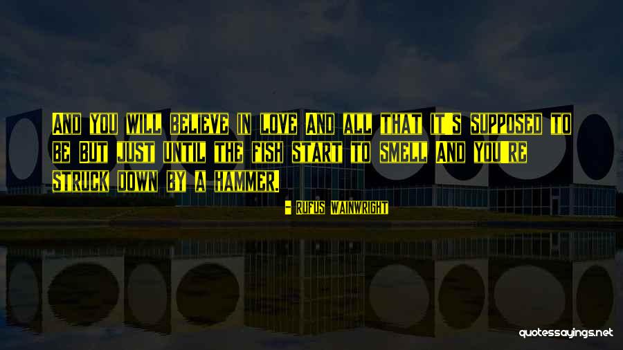 Defectiveness Schema Quotes By Rufus Wainwright Defectiveness Schema Quotes By Rufus Wainwright