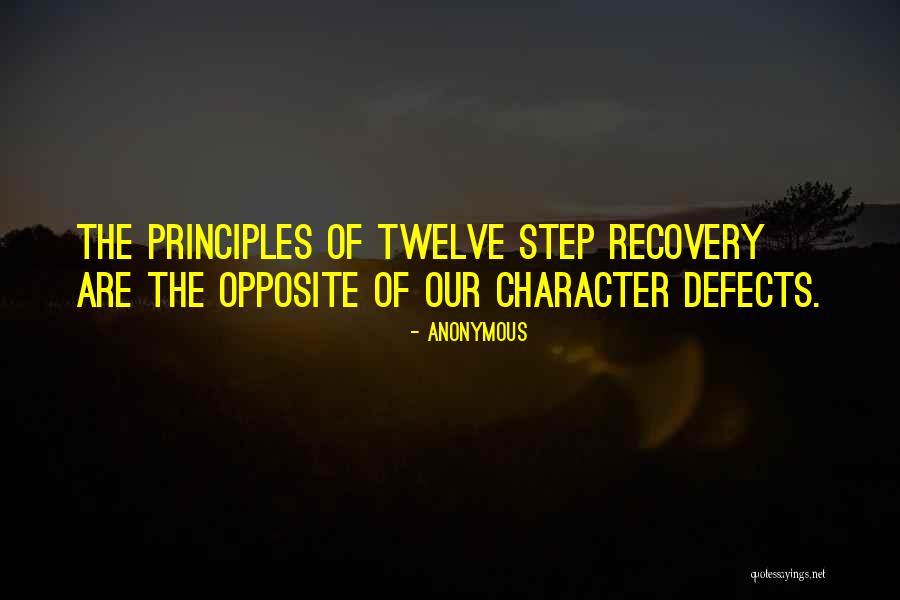 Defects Of Character Quotes By Anonymous