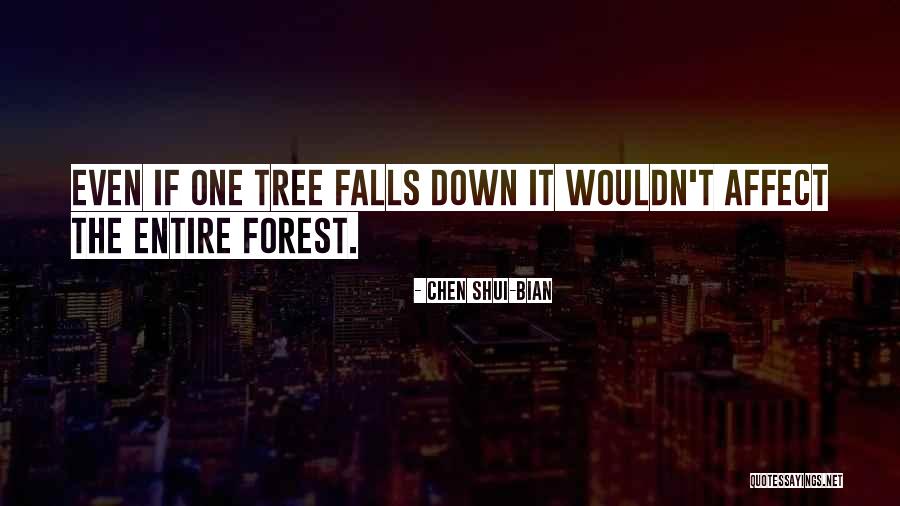 Defeitos Da Quotes By Chen Shui-bian Defeitos Da Quotes By Chen Shui-bian