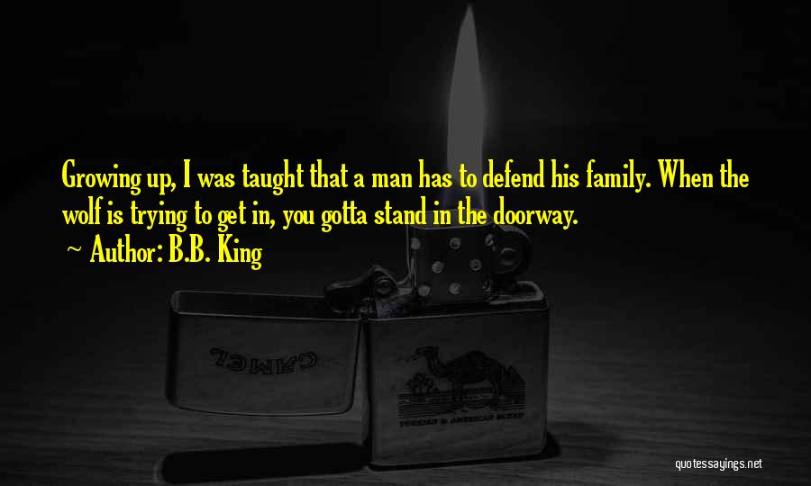 Defend Family Quotes By B.B. King