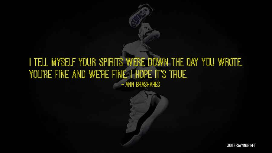 Defender Armor Quotes By Ann Brashares Defender Armor Quotes By Ann Brashares
