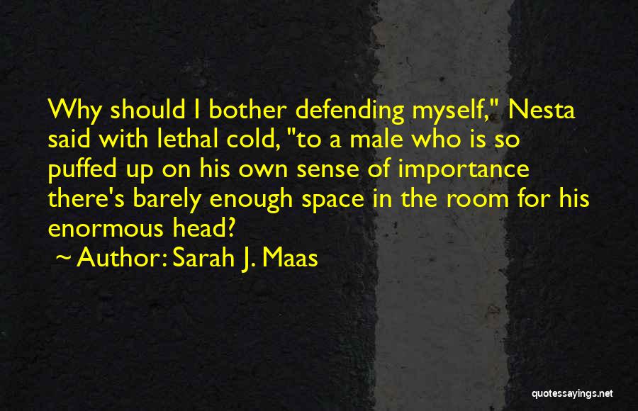 Defending Others Quotes By Sarah J. Maas