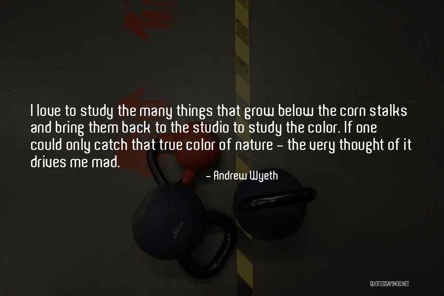 Defending Someone You Love Quotes By Andrew Wyeth Defending Someone You Love Quotes By Andrew Wyeth