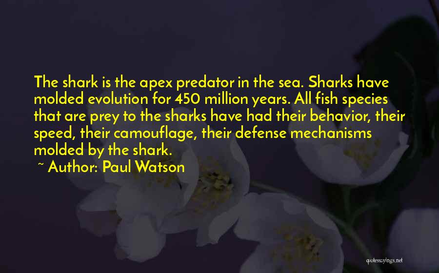 Defense Mechanisms Quotes By Paul Watson
