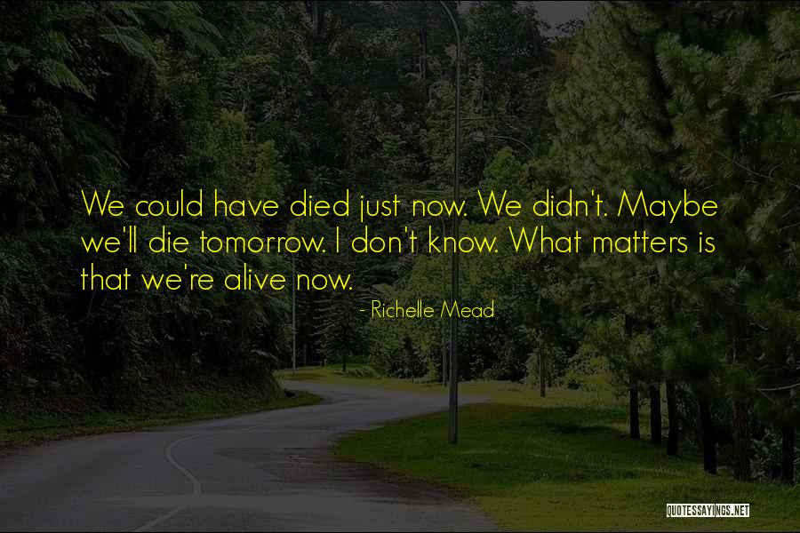 Defensive Device Quotes By Richelle Mead Defensive Device Quotes By Richelle Mead