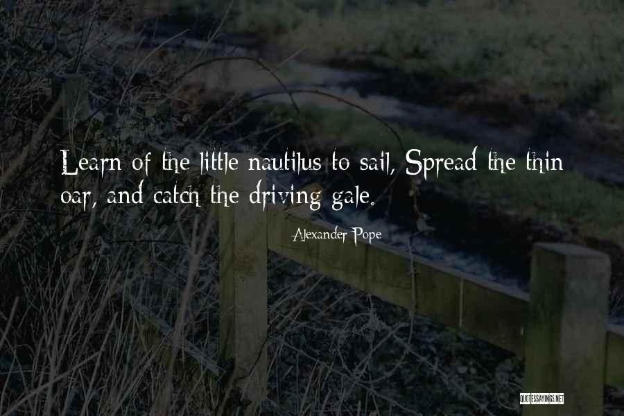 Defesa Do Consumidor Quotes By Alexander Pope Defesa Do Consumidor Quotes By Alexander Pope