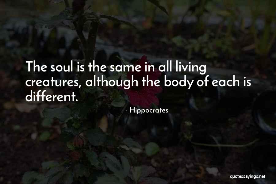 Defever Yachts Quotes By Hippocrates Defever Yachts Quotes By Hippocrates