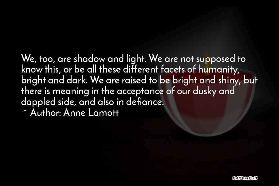 Defiance Quotes By Anne Lamott