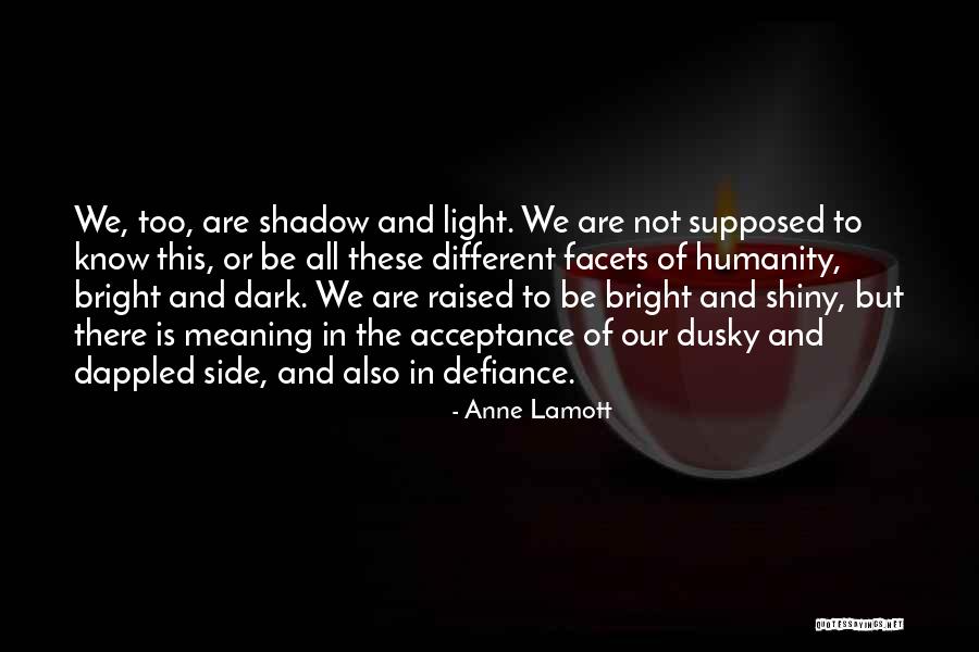 Defiance Quotes By Anne Lamott