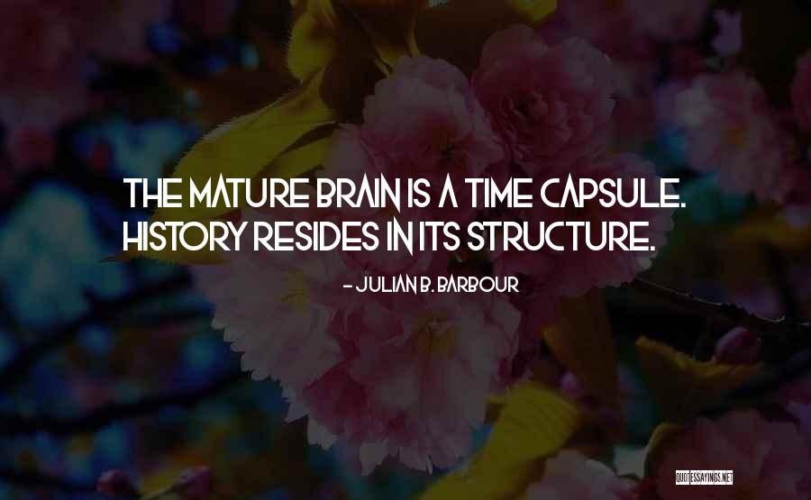 Defibaugh Richmond Quotes By Julian B. Barbour Defibaugh Richmond Quotes By Julian B. Barbour