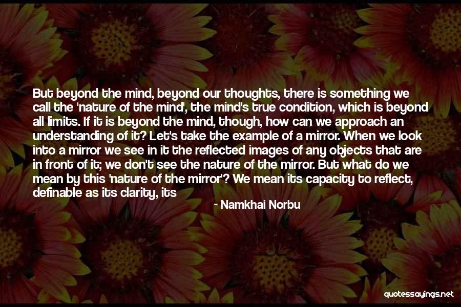 Definable Quotes By Namkhai Norbu