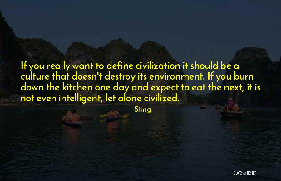 Define Culture Quotes By Sting