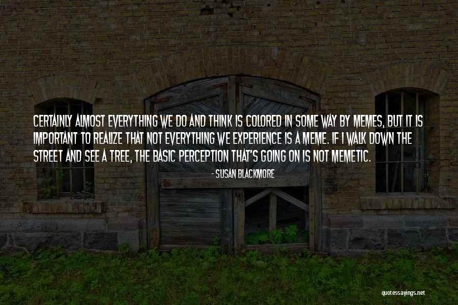 Define Witty Quotes By Susan Blackmore Define Witty Quotes By Susan Blackmore