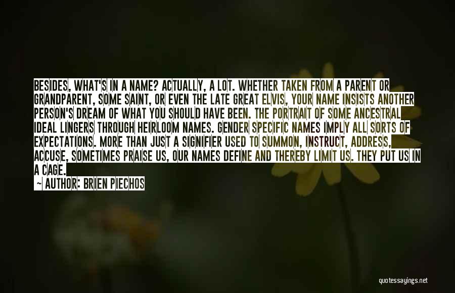 Define You Quotes By Brien Piechos