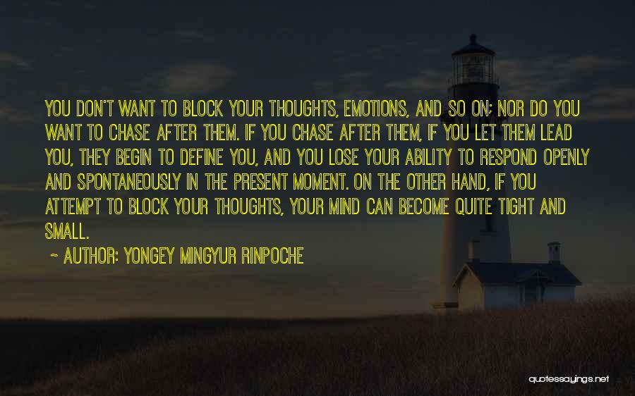 Define You Quotes By Yongey Mingyur Rinpoche