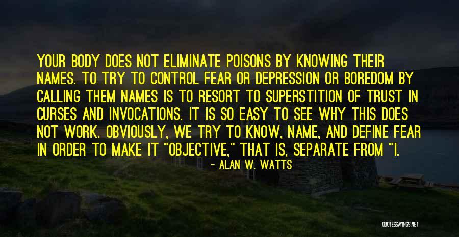 Define Your Why Quotes By Alan W. Watts Define Your Why Quotes By Alan W. Watts