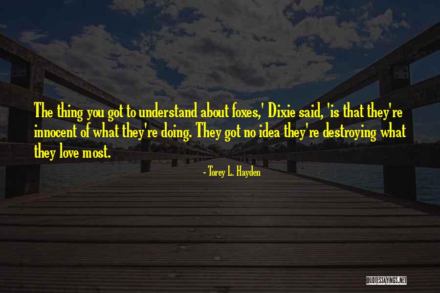 Definhar Em Quotes By Torey L. Hayden Definhar Em Quotes By Torey L. Hayden