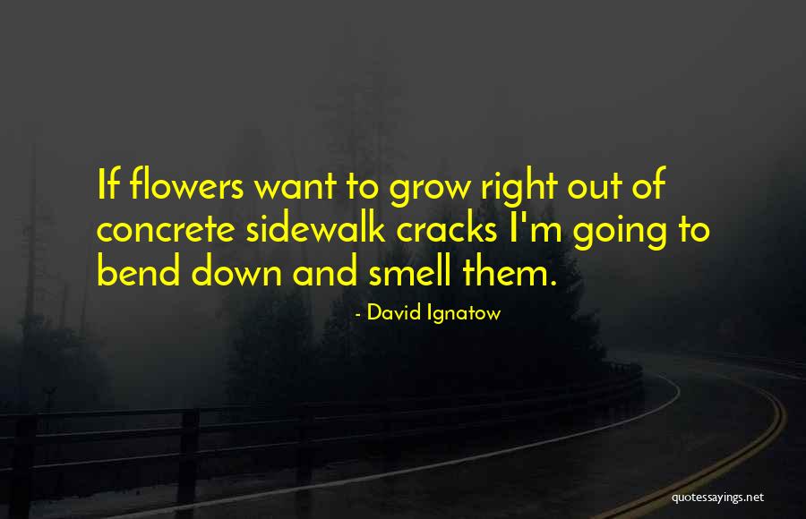 Defining Your Character Quotes By David Ignatow