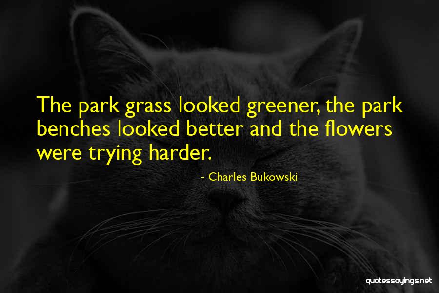 Definisi Manajemen Quotes By Charles Bukowski Definisi Manajemen Quotes By Charles Bukowski