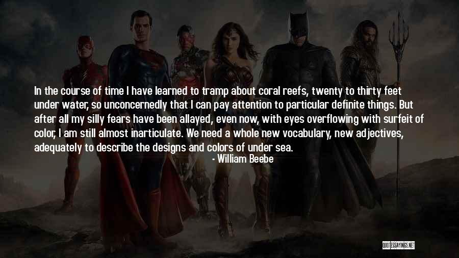Definite Quotes By William Beebe Definite Quotes By William Beebe