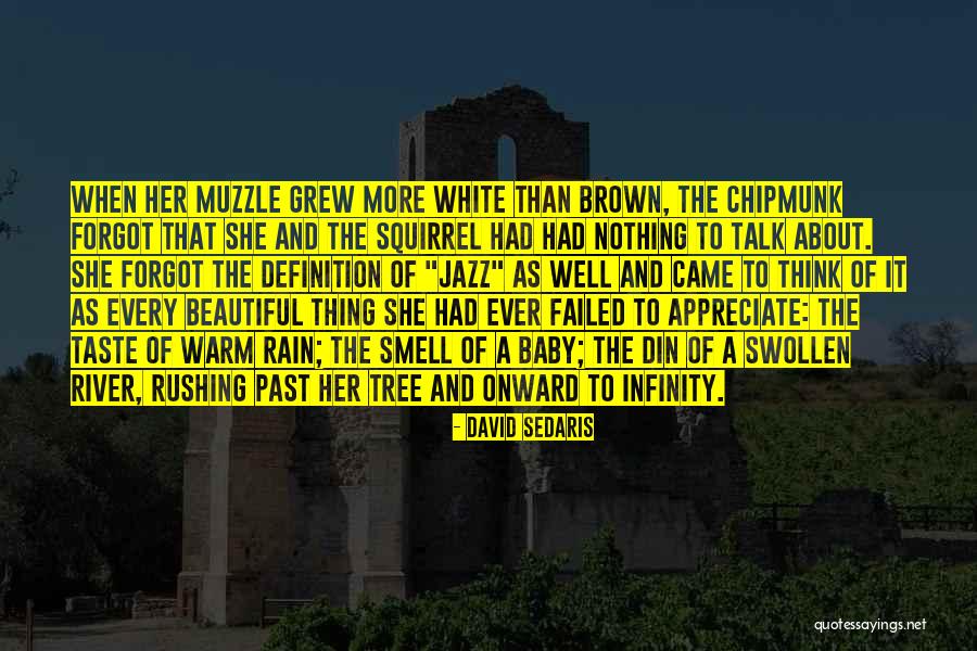 Definition Love Quotes By David Sedaris Definition Love Quotes By David Sedaris